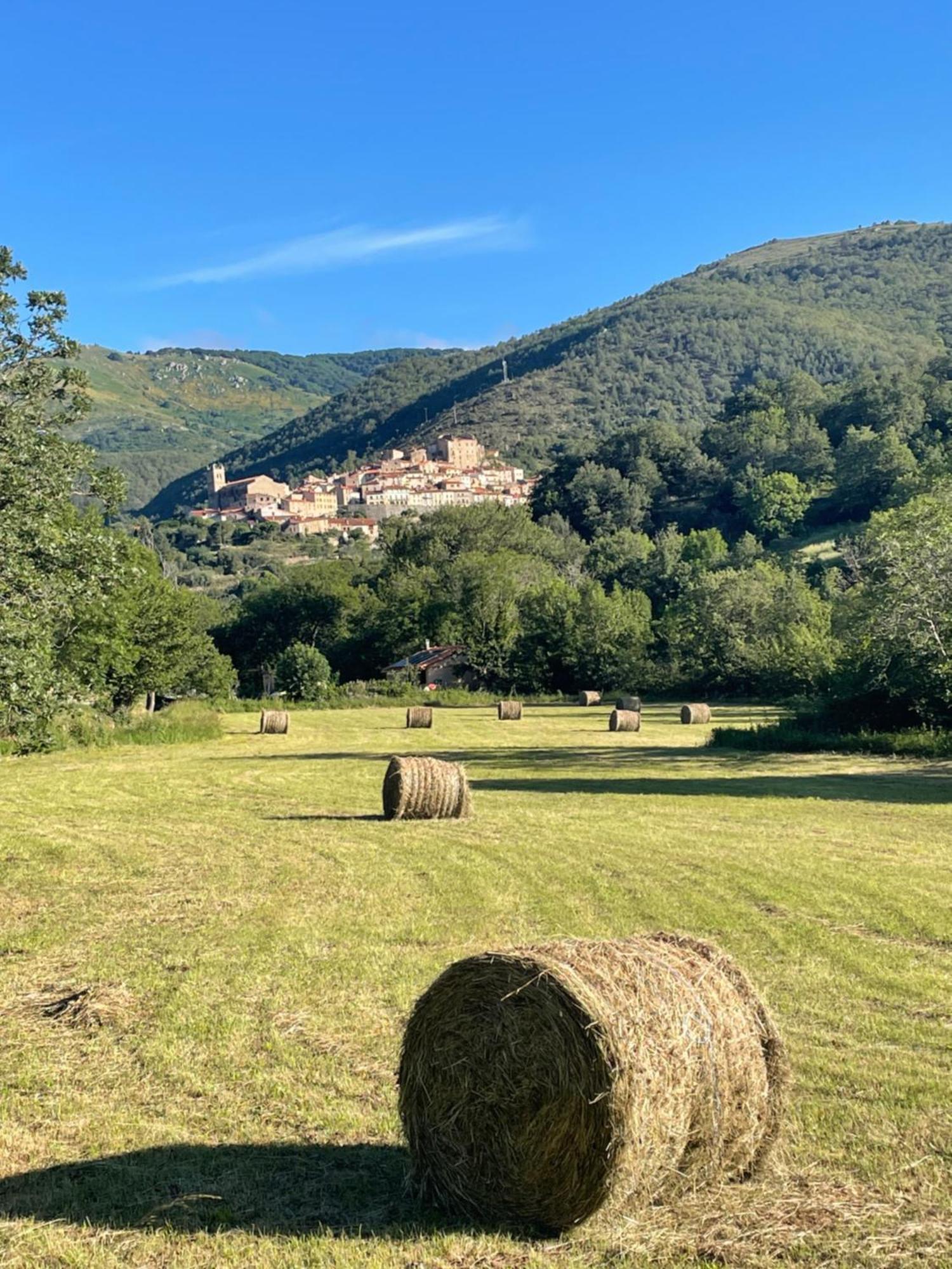Domaine St Georges Villa Mosset Kültér fotó